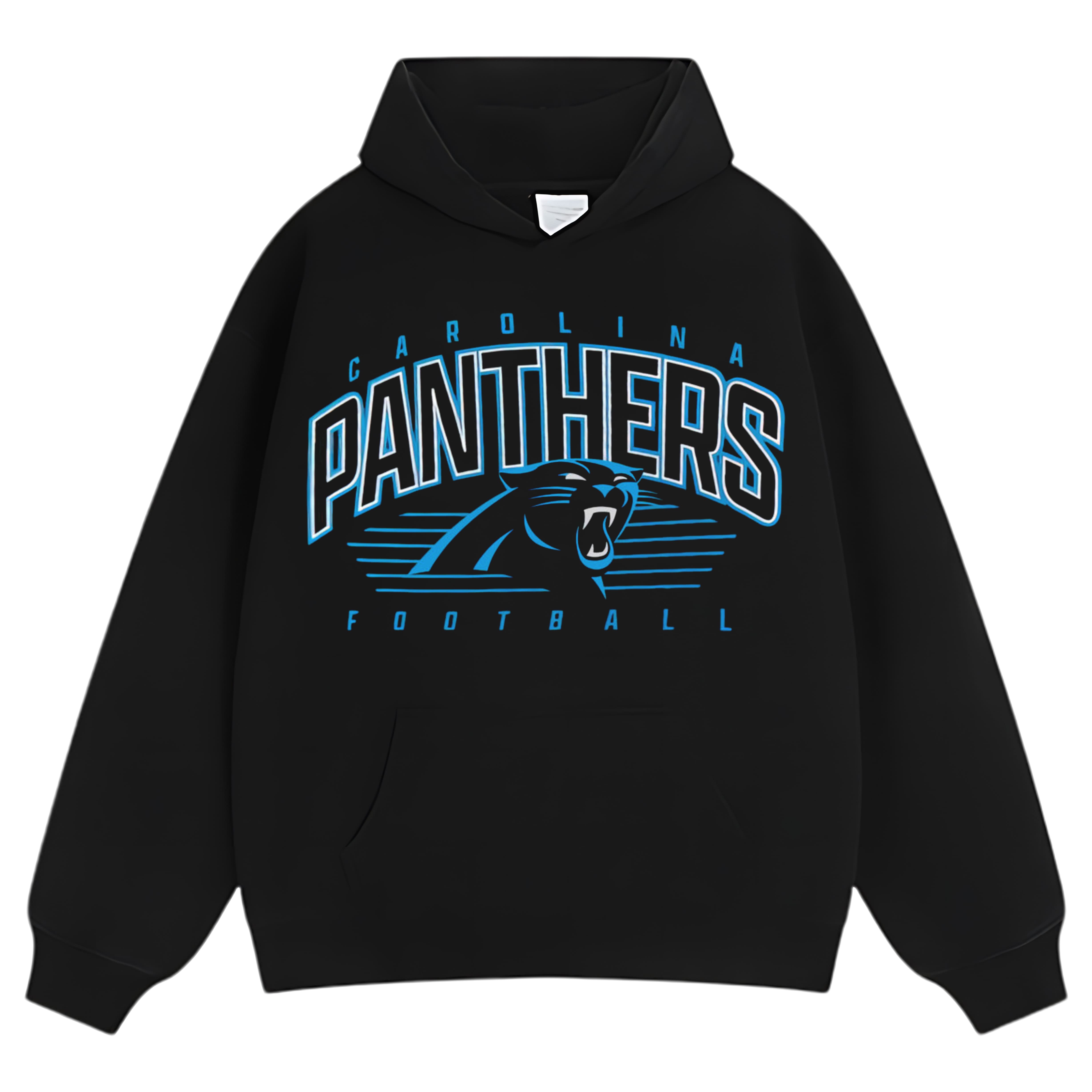 CAROLINA PANTHERS V2 TEE & LS & HOODIE